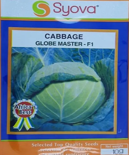 CABBAGE GLOBE MASTER F1 50GMS