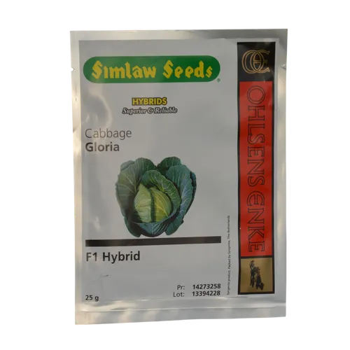 CABBAGE GLORIA STAR F1  25GM