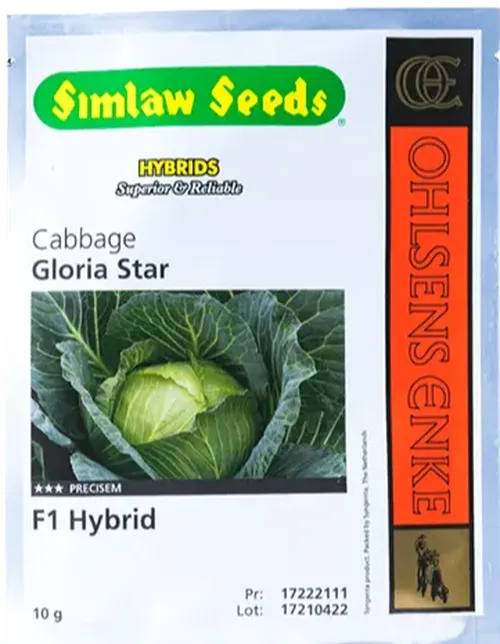 CABBAGE GLORIA STAR F1  50GM