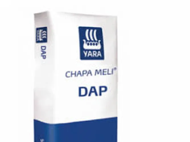 DAP 50KG CHAPA
