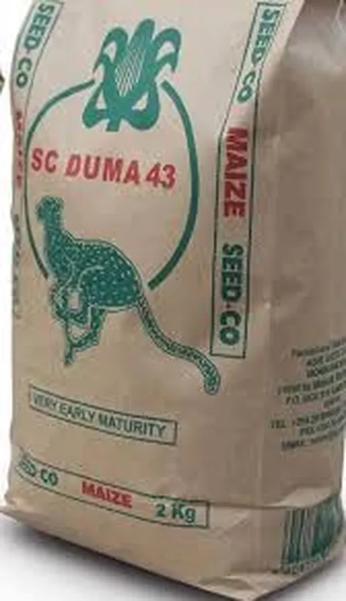 MAIZE DUMA 43 2KG