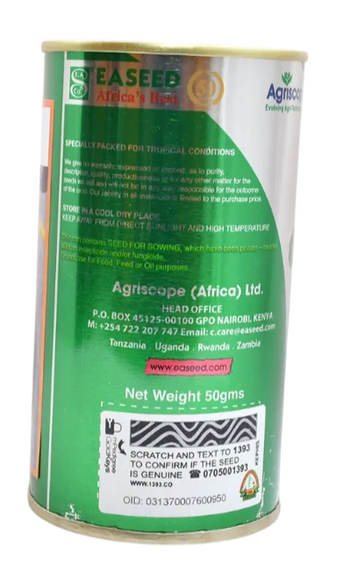 EGGPLANT B/BEAUTY   50GM EA