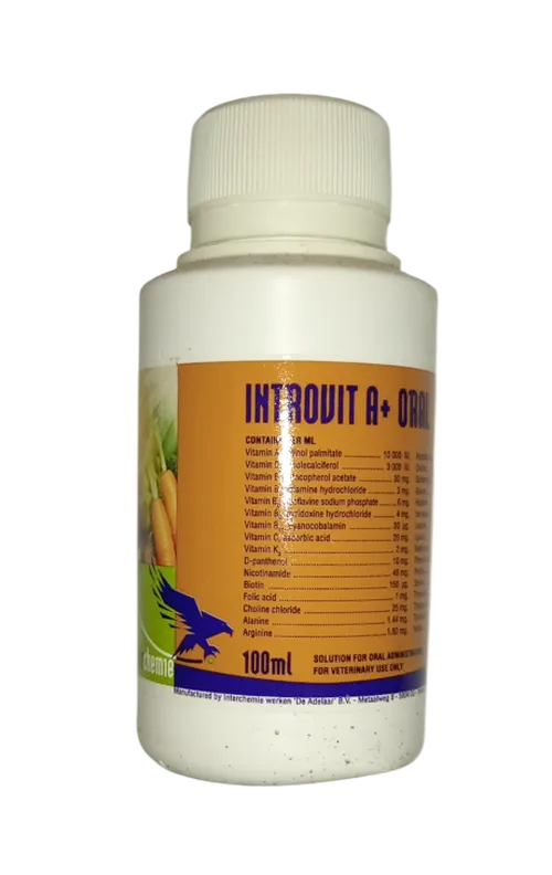 INTROVIT A+ORAL 100MLS