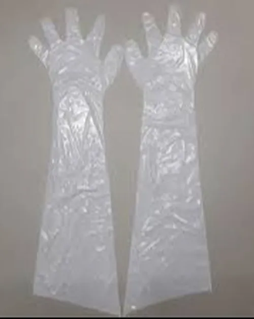 GLOVES INSEMINATION NYLON (A.I)