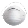 DUST MASK WHITE - LIGHT DUTY