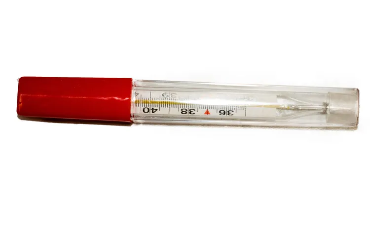 THERMOMETER CLINICAL SMALL