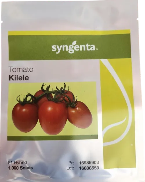 TOMATO KILELE   100 SD