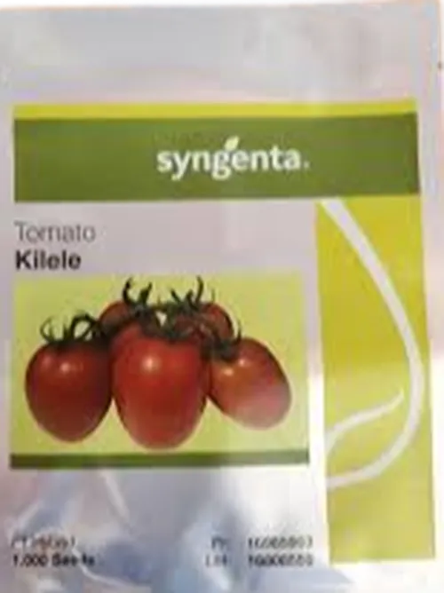 TOMATO KILELE  1,000 SD