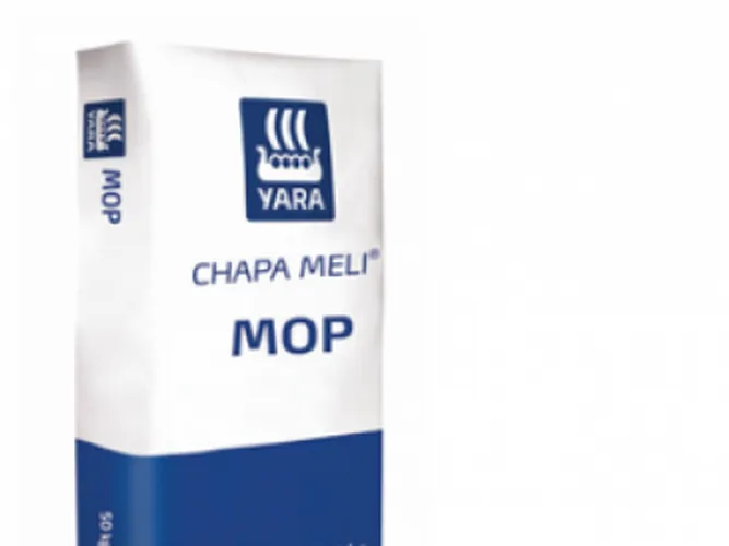 GRANULATED POTASSIUM SULPHATE 25KG ELGON