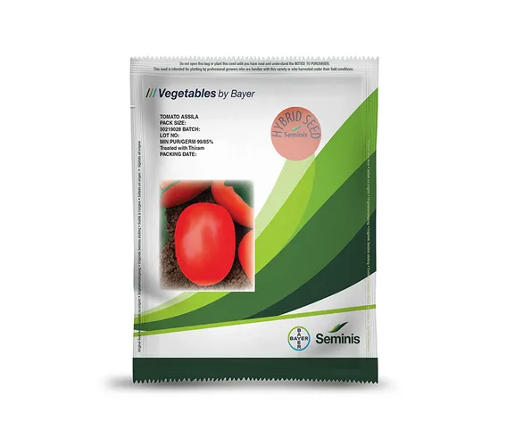 TOMATO ASSILA  10GMS SEMINIS