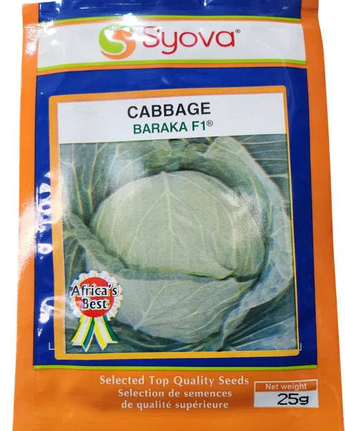 CABBAGE BARAKA F1    5GM