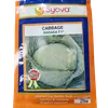 CABBAGE BARAKA F1    5GM