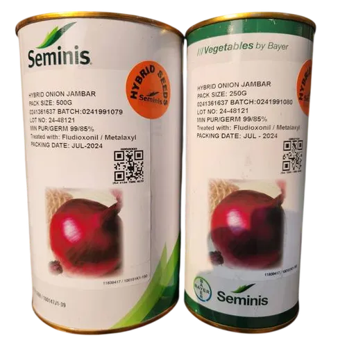 ONION JAMBAR F1  50GMS