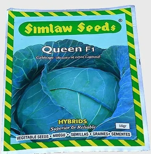 CABBAGE QUEEN 50GMS