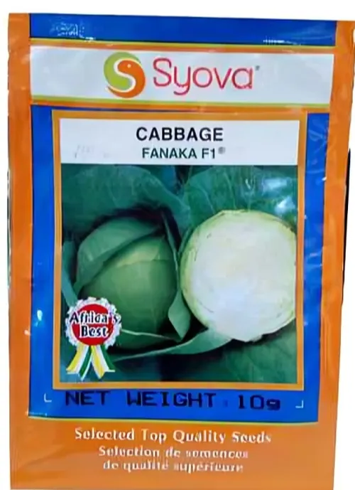 CABBAGE FANAKA F1  50GM