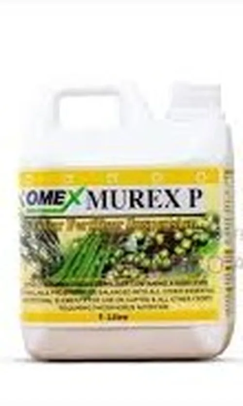MUREX P 1LT
