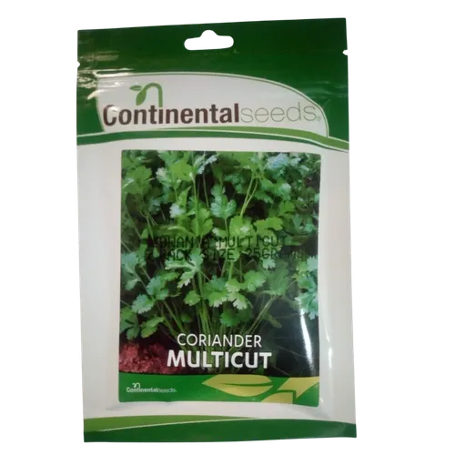 CORRIANDER DHANIA   10GM CONTI