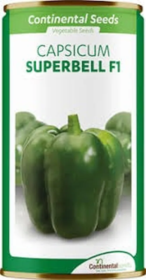 PEPPER SUPERBELL F1  25GMS CON