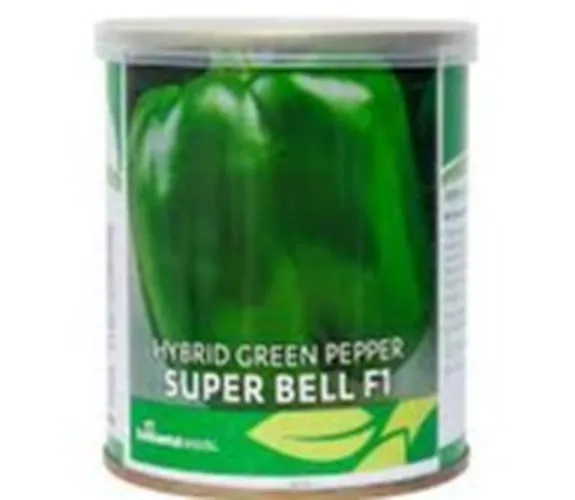 PEPPER SUPERBELL F1 100GMS CON