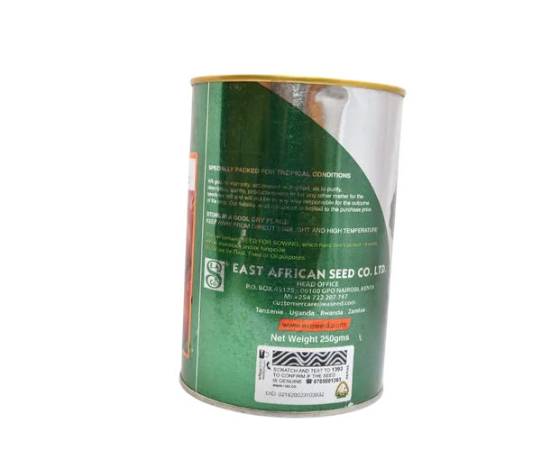 BEETROOT DETROIT RED 250GMS EA