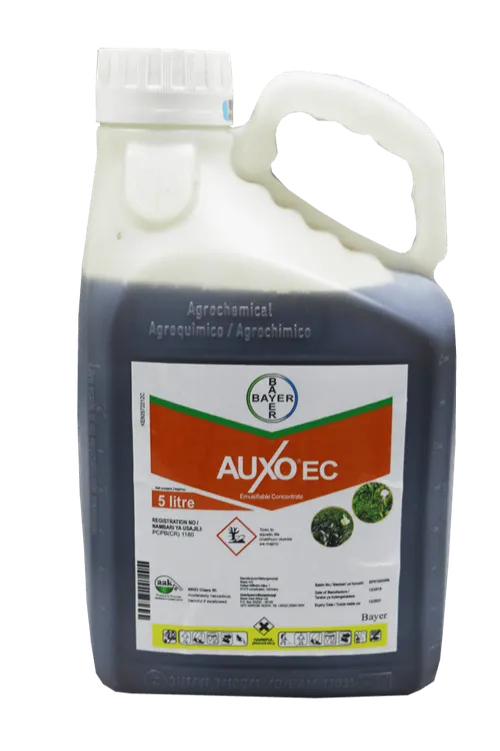 AUXO 5LTR