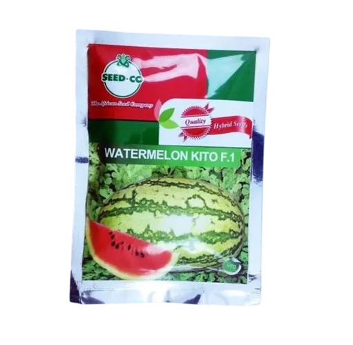 W MELON KITO F1  50GMS SEEDCO