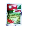 W MELON KITO F1  50GMS SEEDCO