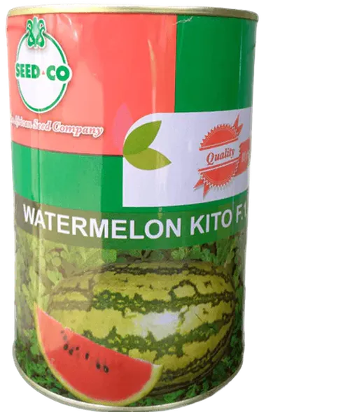 W MELON KITO F1 250GMS SEEDCO