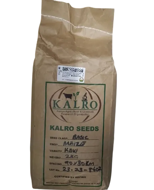 MAIZE KDV1 2KG