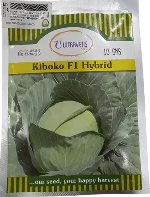 CABBAGE KIBOKO  10GM