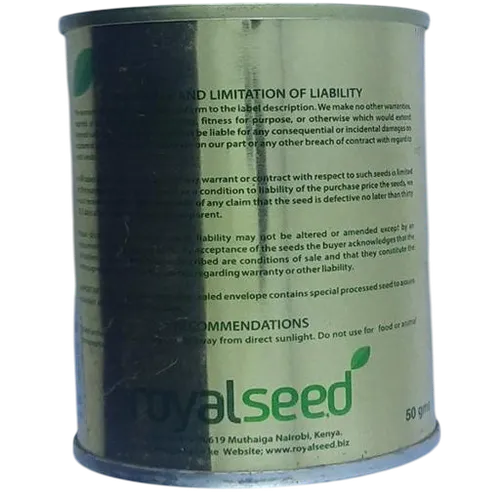 CABBAGE PRETORIA F1 50GMS