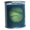 CABBAGE PRETORIA F1 50GMS