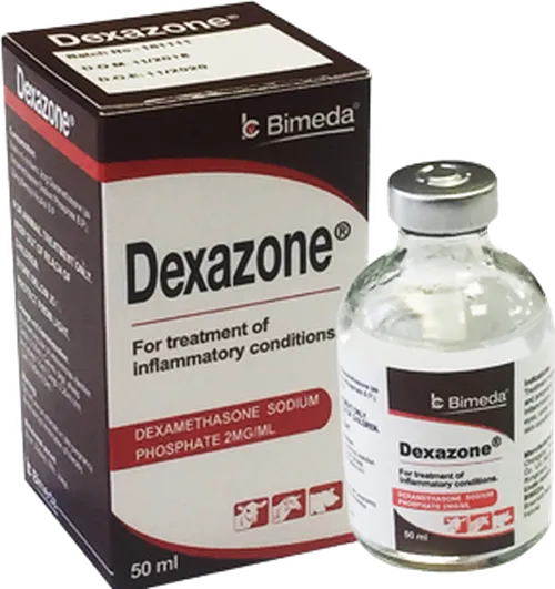 DEXAMETHASONE  50MLS BIMEDA
