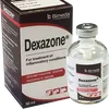 DEXAMETHASONE  50MLS BIMEDA