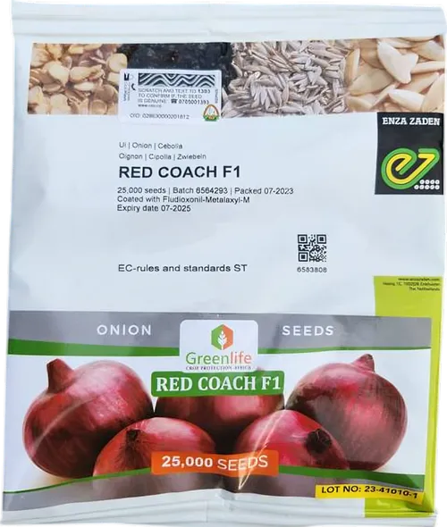 ONION RED COACH 100,000 SEED F