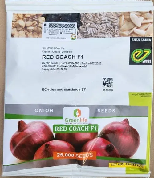 ONION RED COACH 25,000 SEEDS F