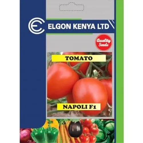 TOMATO NAPOLI F1 5GMS ELGON