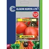 TOMATO NAPOLI F110GMS ELGON