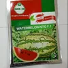 W MELON KITO F1  25GMS SEEDCO