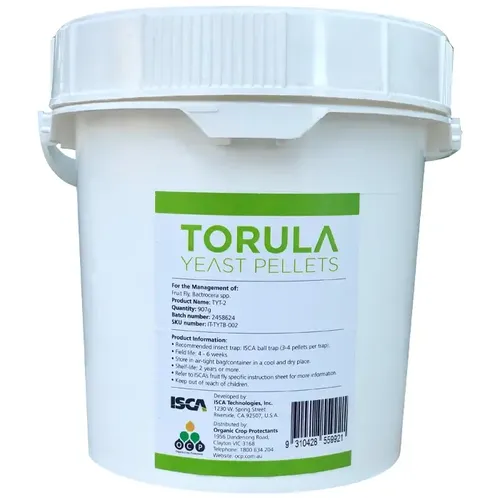 TRAP BAIT TORULA FEMALE