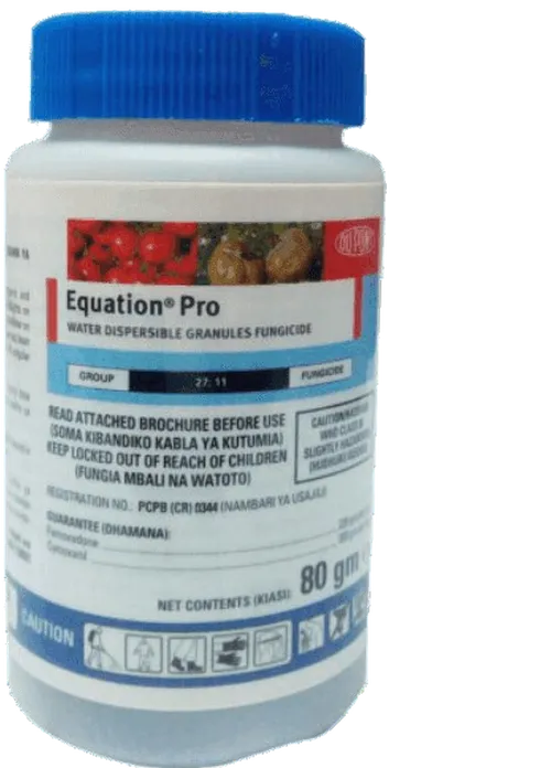EQUATION PRO 80GMS
