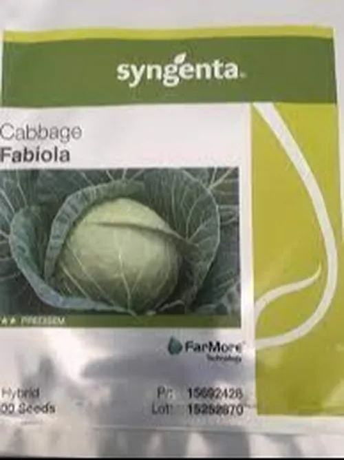 CABBAGE FABIOLA F1 5GMS