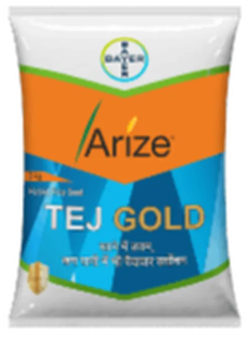 RICE ARIZE TEJ GOLD CS 3KG (PISHORI)