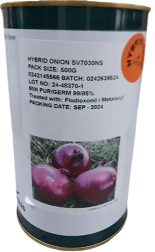 ONION SD SV 7030NS F1 250GMS SEMINIS