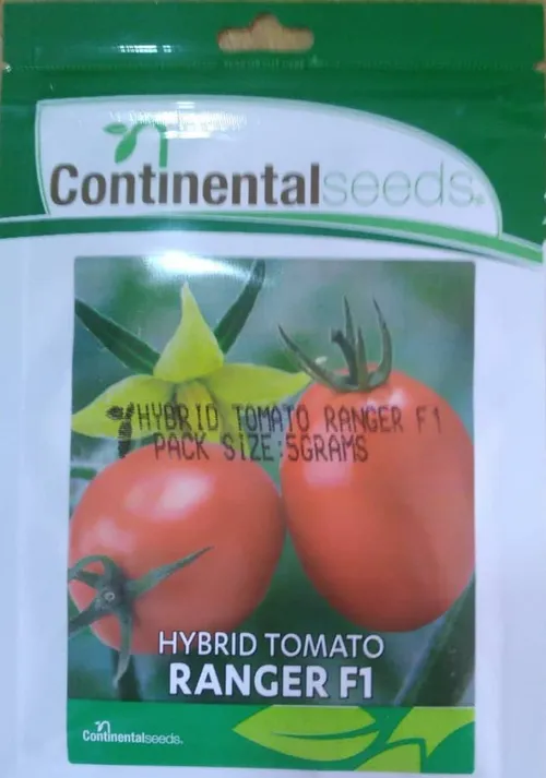 TOMATO RANGER F1 2.5GMS CONTIN
