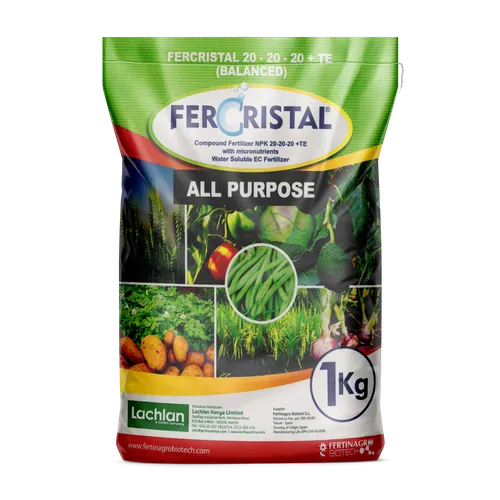 FERCRISTAL EVEN 20:20:20 1KG