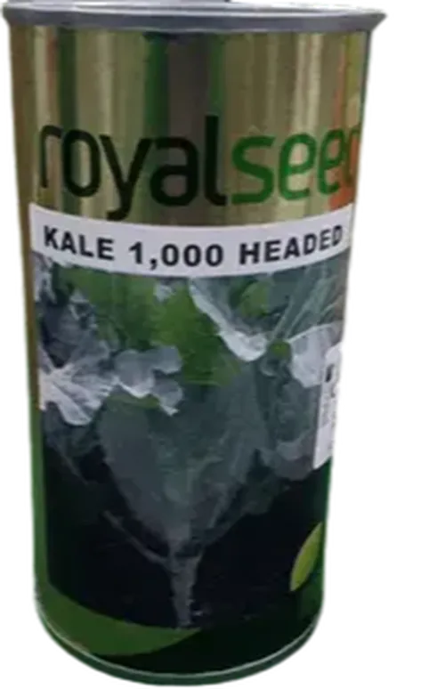 KALE 1000 HEADED 50GMS ROYAL SEED