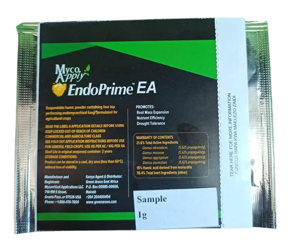 MYCO APPLY  ENDOPRIME 4GMS