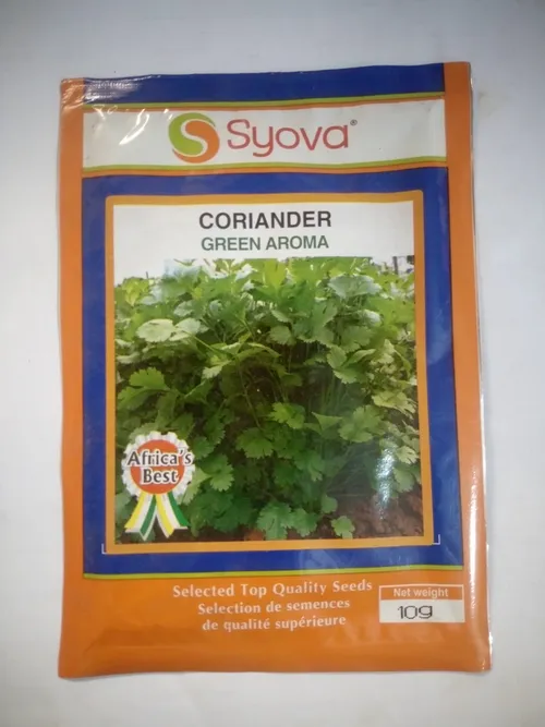 CORRIANDER GREEN AROMA 10GM EA(DHANIA)