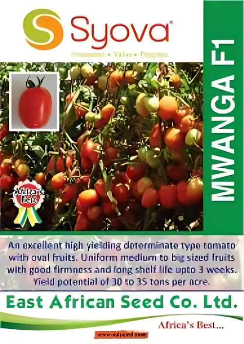 TOMATO MWANGAZA F1 25GMS